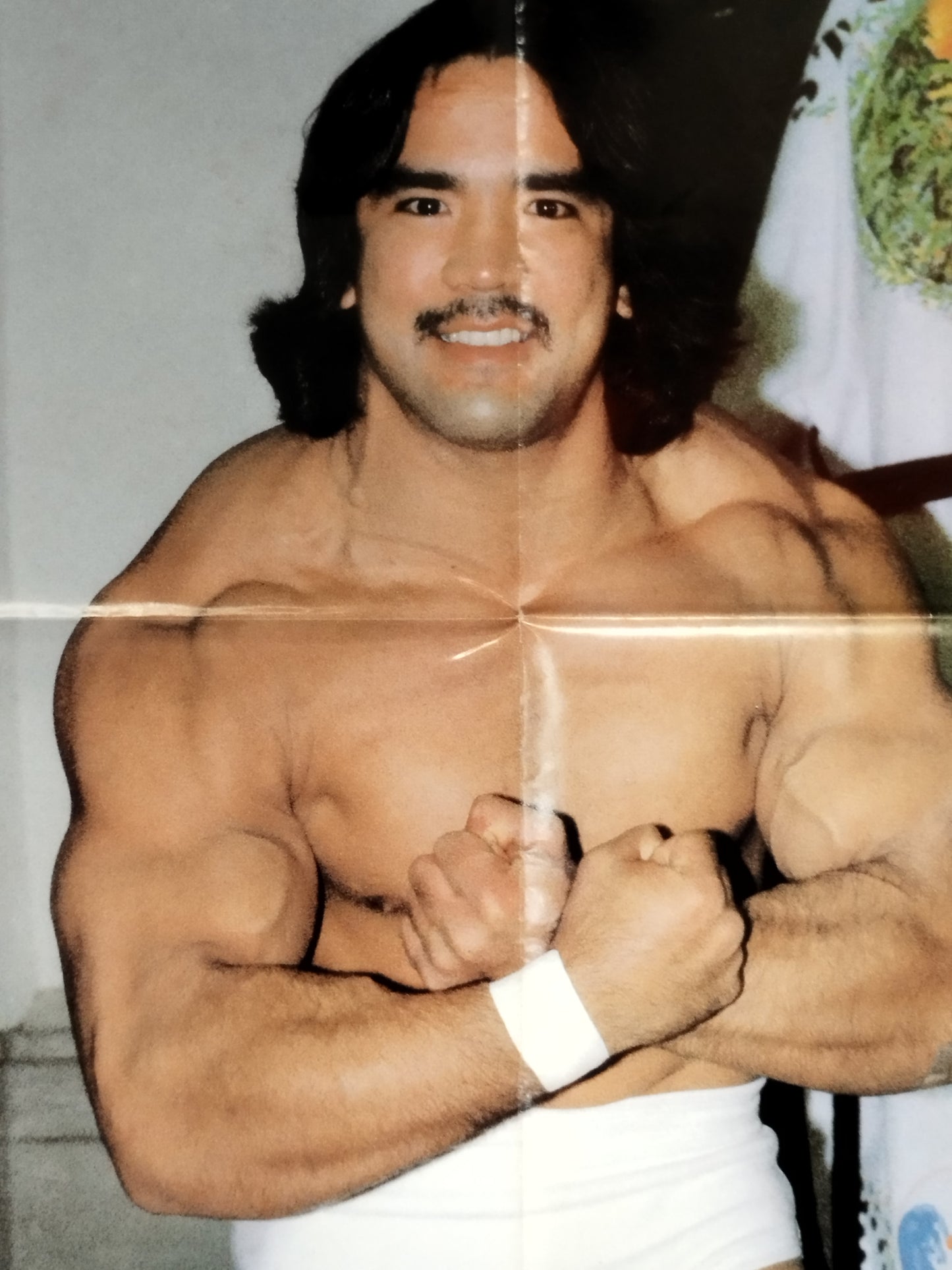 Ricky Steamboat  Magazine Appendix Poster