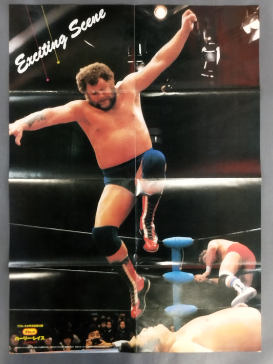 ハーリー・レイス 雑誌付録ポスター