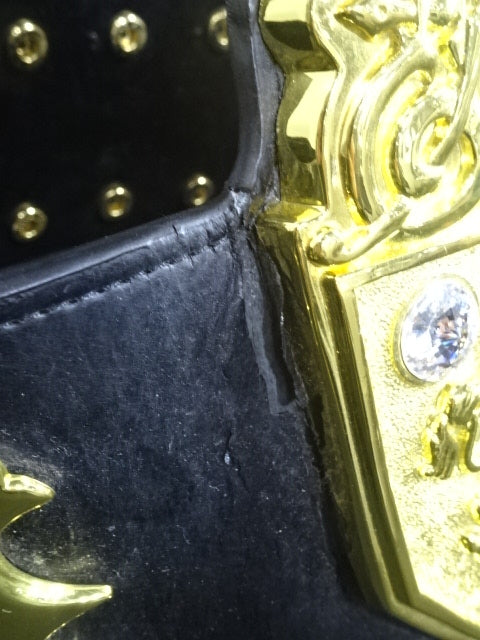 ★ Hiroshi Tanahashi & Togi Makabe  2 hand signed autographs ! IWGP ★ heavy weight championship belt (2nd )