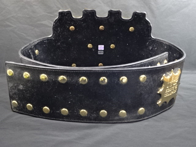 IWGP Heavy Weight Title Belt (2nd )