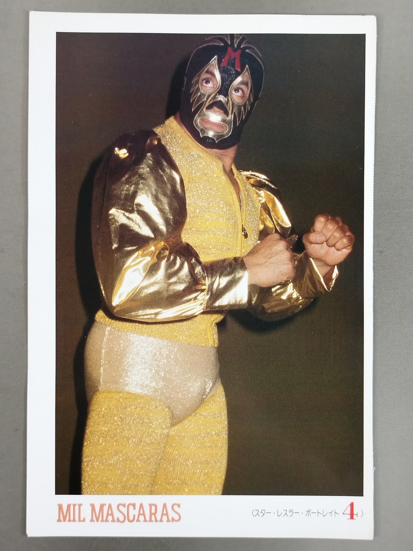 Mil Mascaras  Journal Appendix Pro-Photo