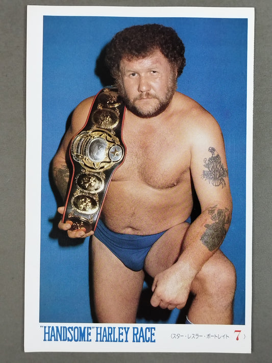 ハーリー・レイス 雑誌付録ポートレート