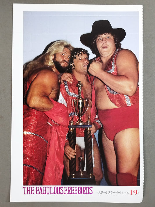 ザ・ファビュラス・フリーバーズ 雑誌付録ポートレート