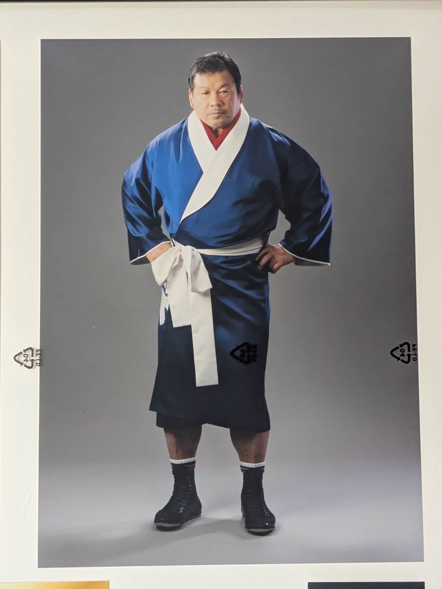 藤波辰爾 メモリアルパネル(手形入りサイン色紙＆写真)