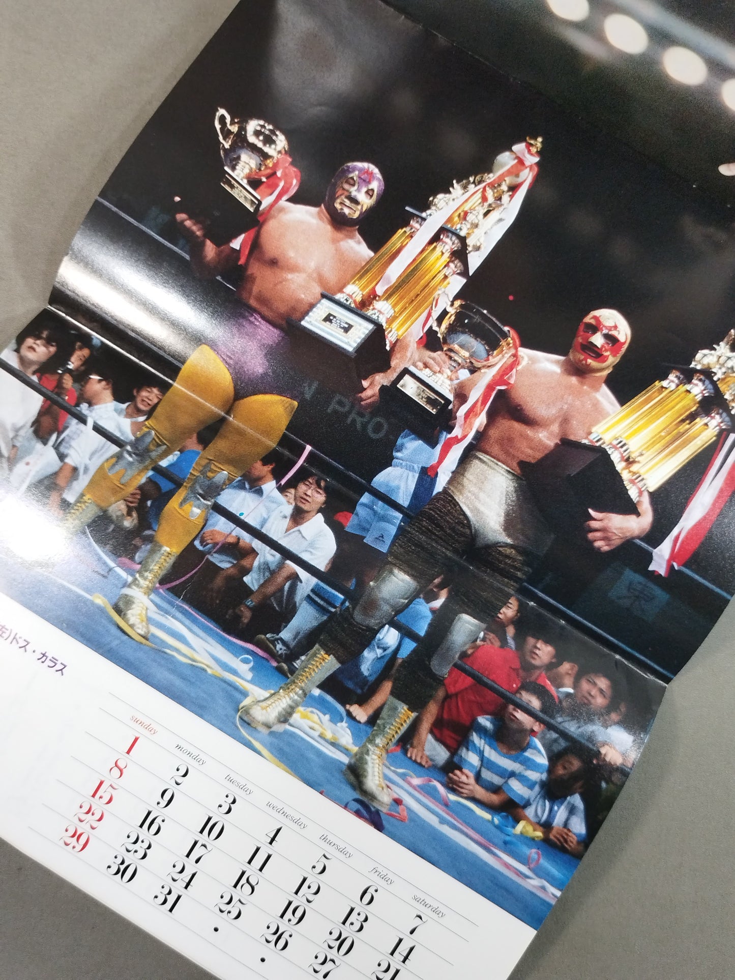 1982 GONG Wrestling  CALENDAR