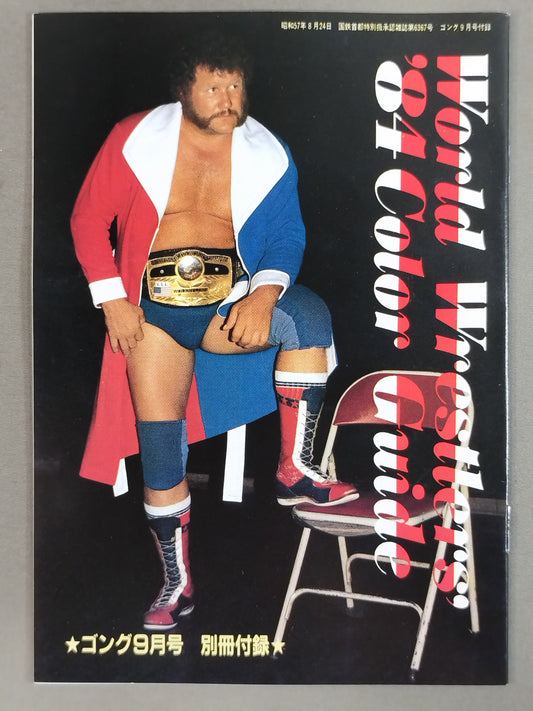 WORLD WRESTLERS ’84 COLOR GUIDE