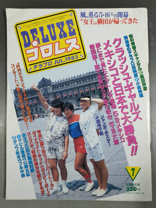 デラックスプロレス 1985年7月号