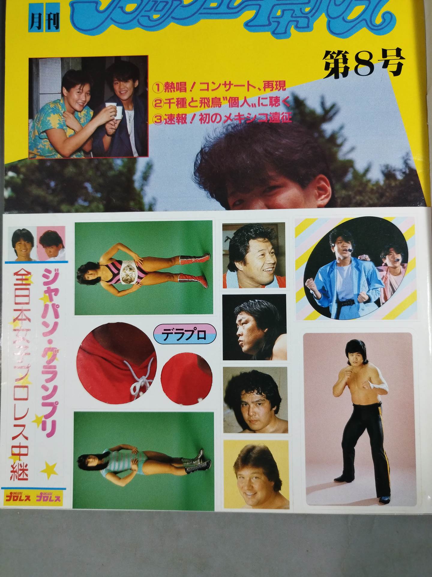 デラックスプロレス 1985年7月号