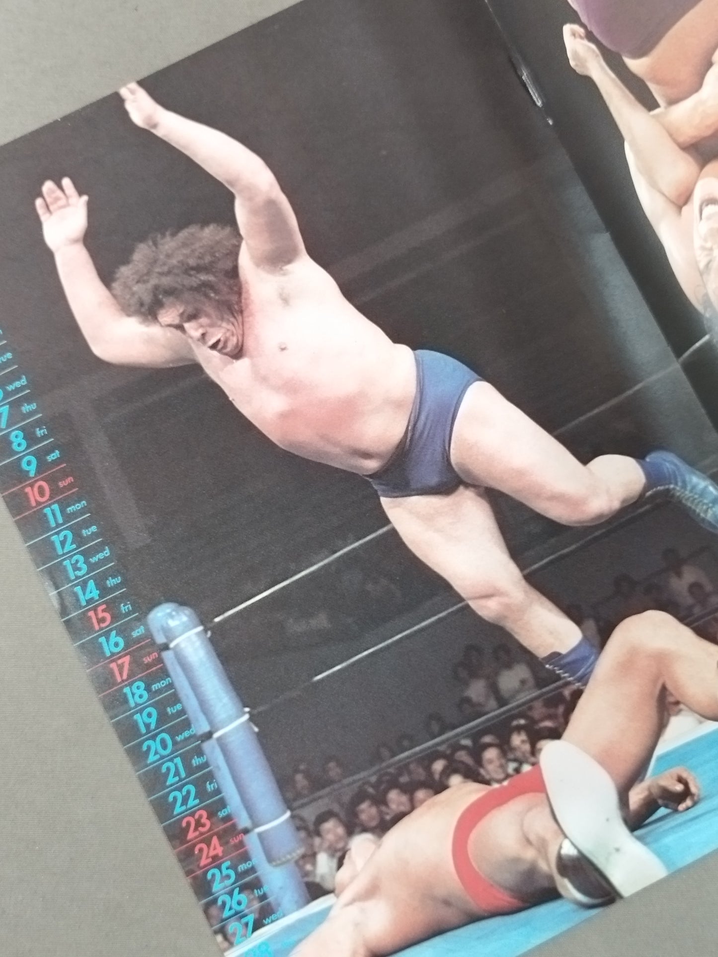 1978 Pro Wrestling Calendar