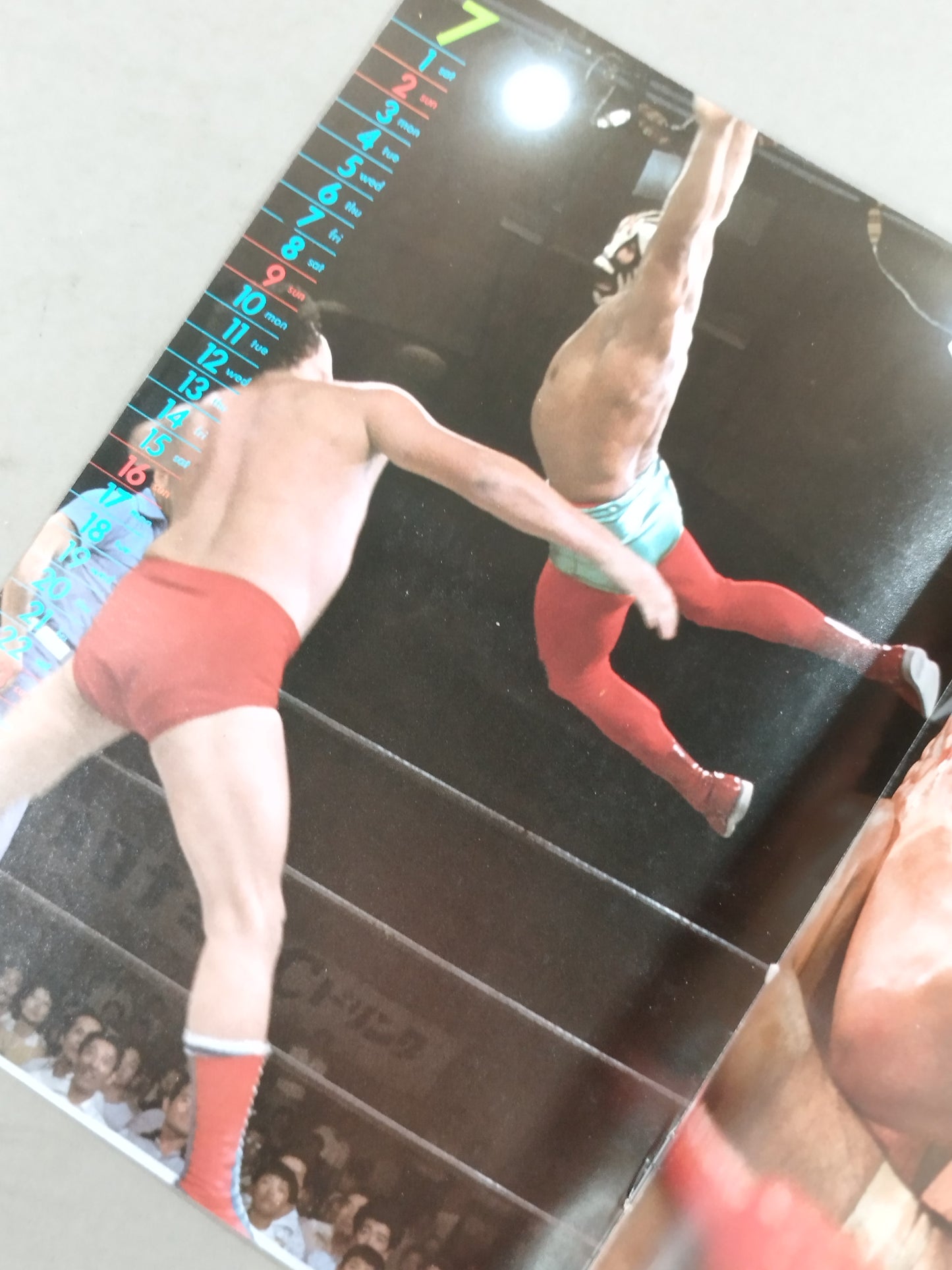 1978 Pro Wrestling Calendar
