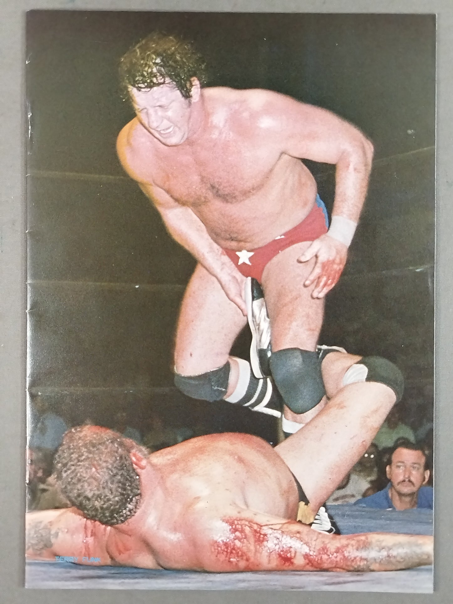 1978 Pro Wrestling Calendar
