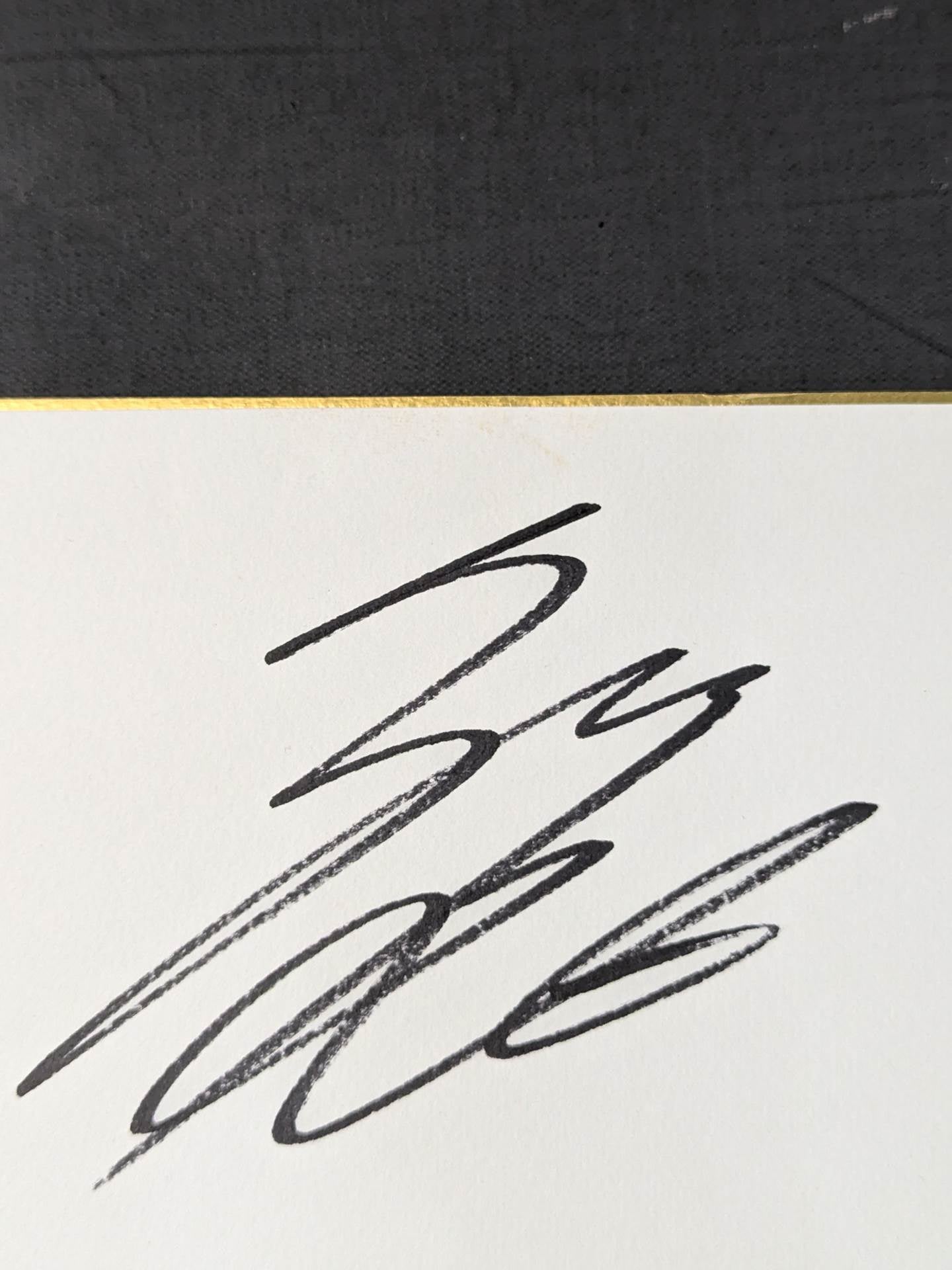 New Japan Pro Wrestling  12 fighters Hand signed autograph  (oversized) Shikishi ( Autograph board )  Sticker attached)
