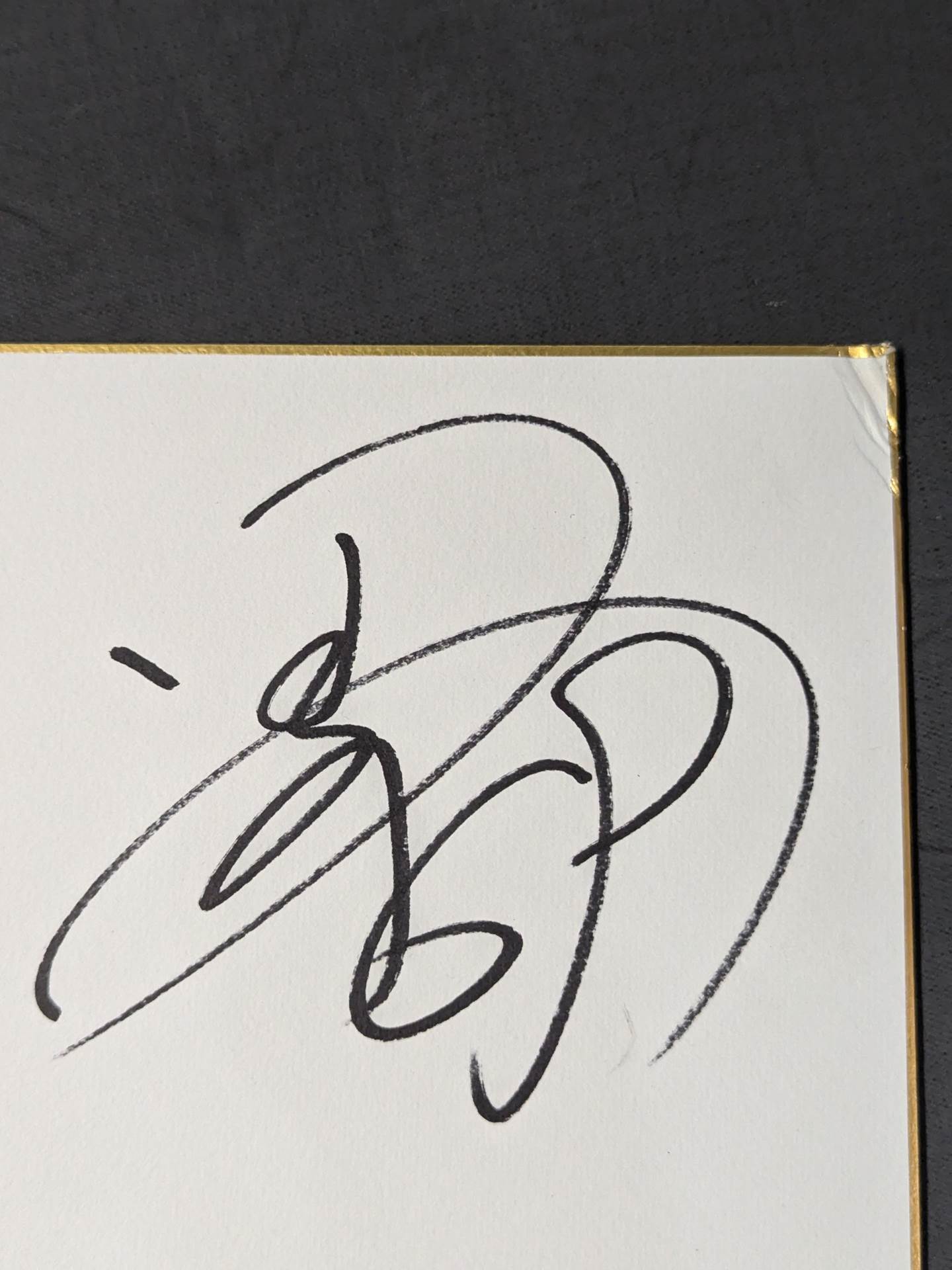 New Japan Pro Wrestling  12 fighters Hand signed autograph  (oversized) Shikishi ( Autograph board )  Sticker attached)