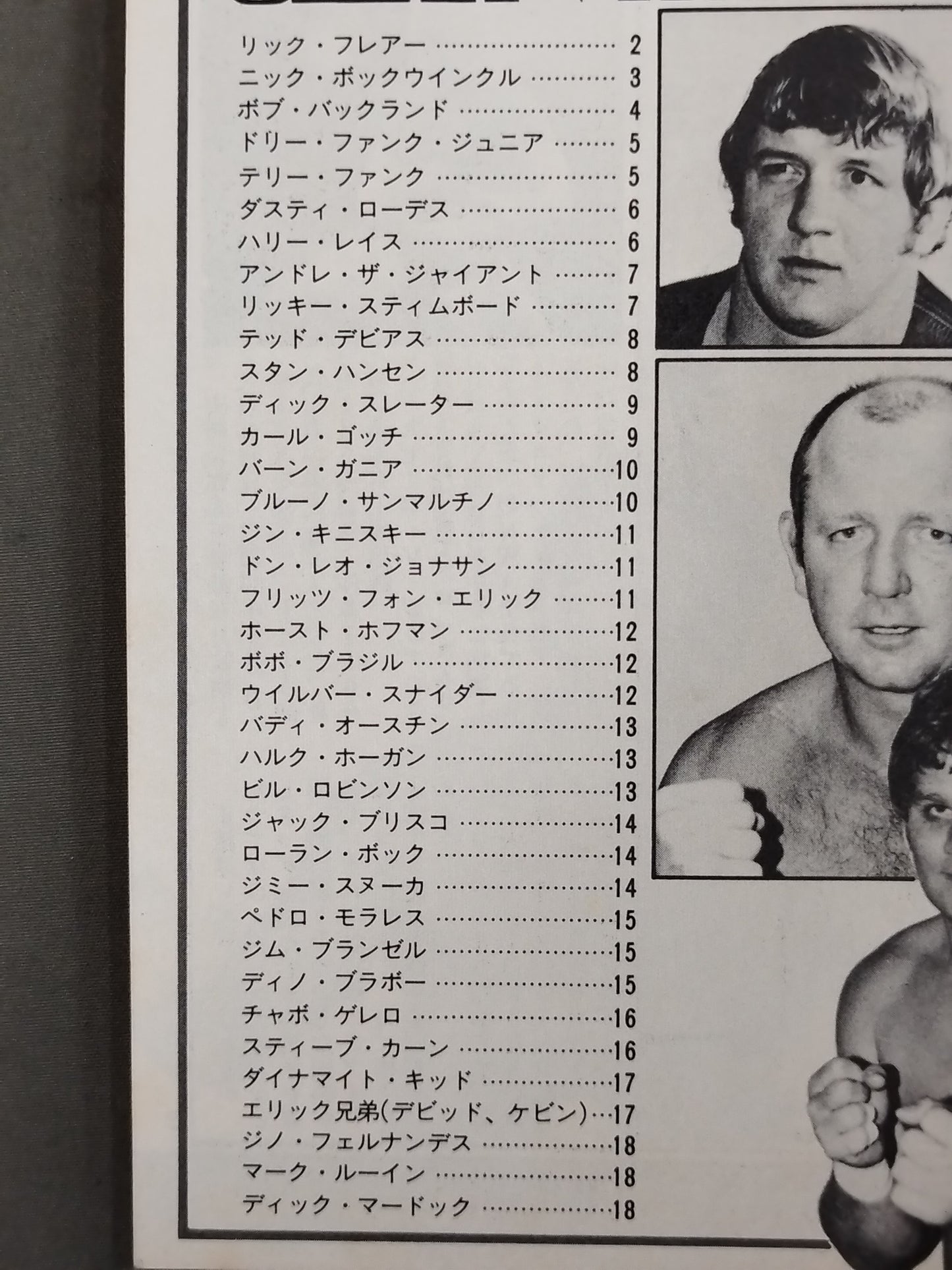 82 Edition Wrestler Directory / BEST FIGHTERS