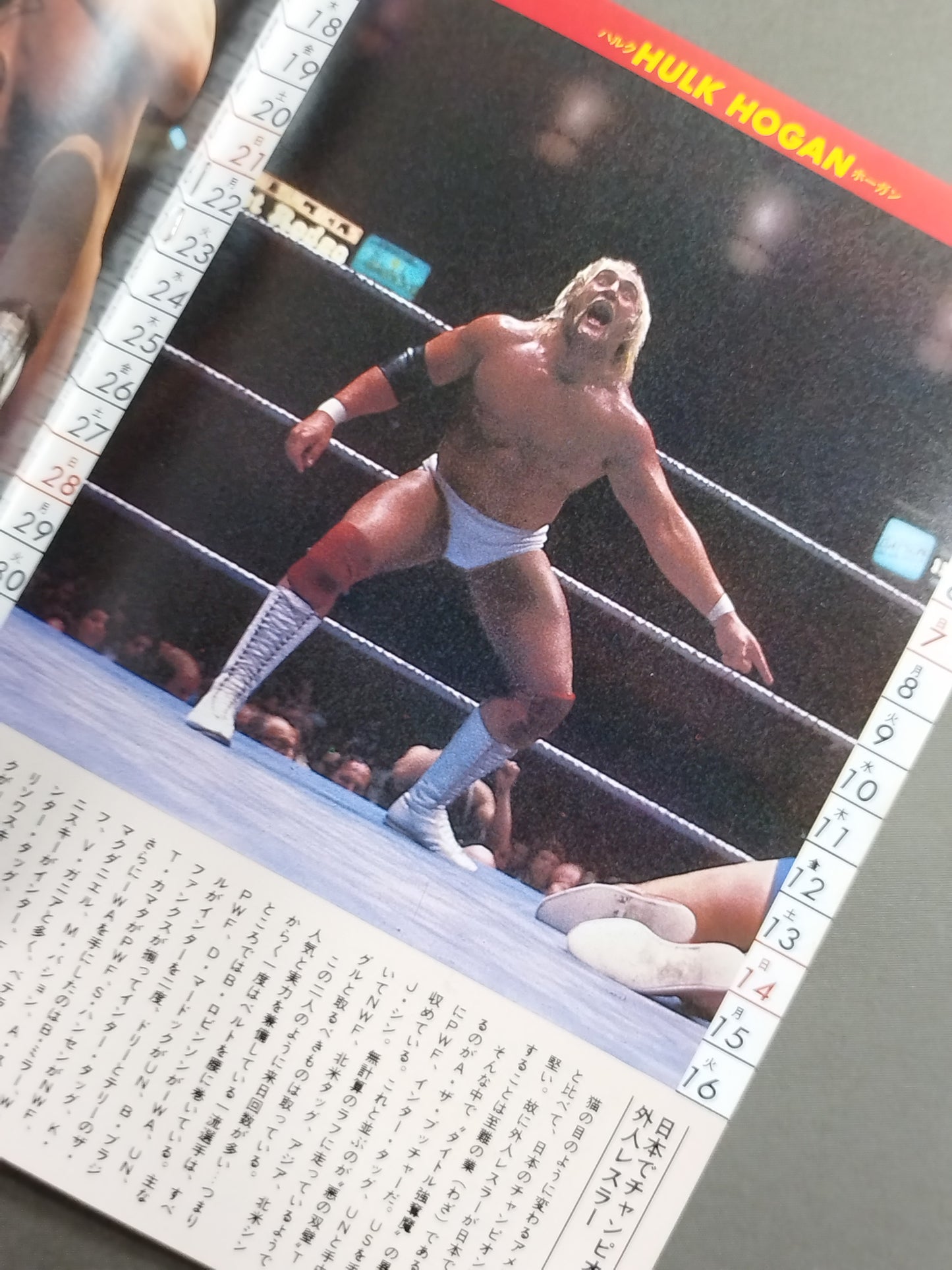 81プロレス・ノート＆カレンダー