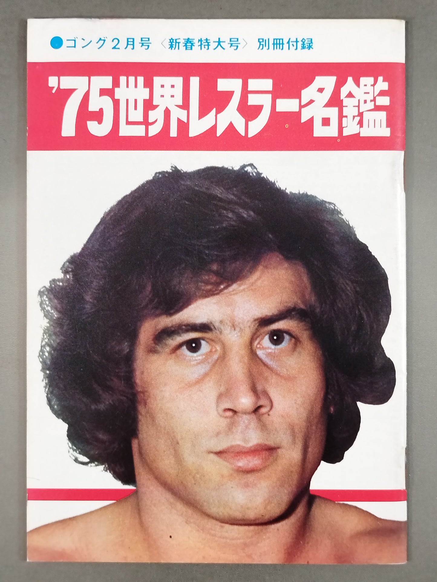 ’75世界レスラー名鑑