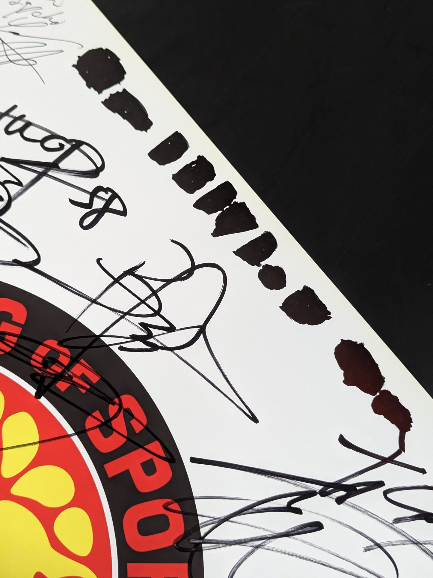 新日本プロレス 28選手直筆サイン寄せ書き(ライオンマーク特大厚紙)