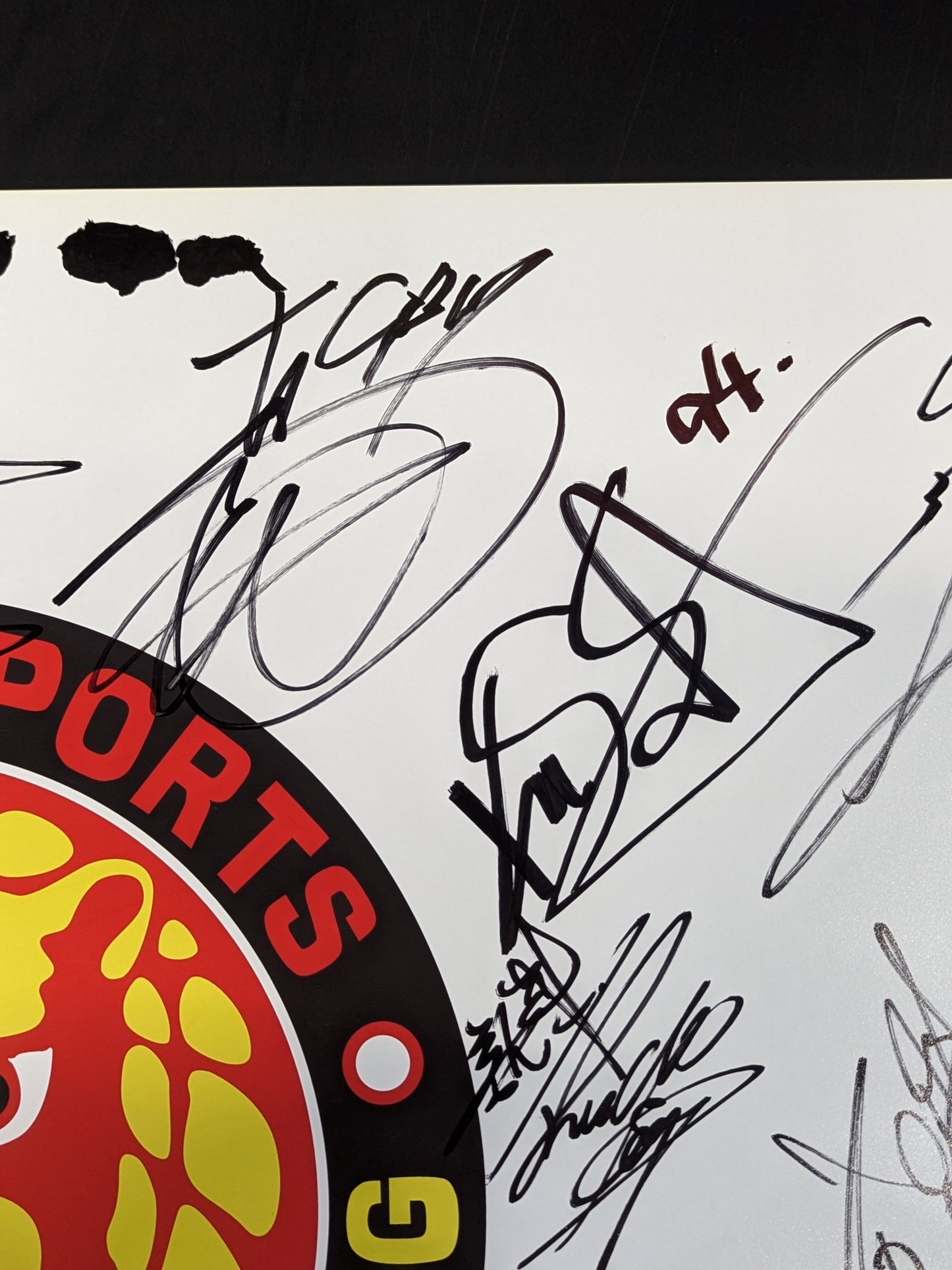 新日本プロレス 28選手直筆サイン寄せ書き(ライオンマーク特大厚紙)