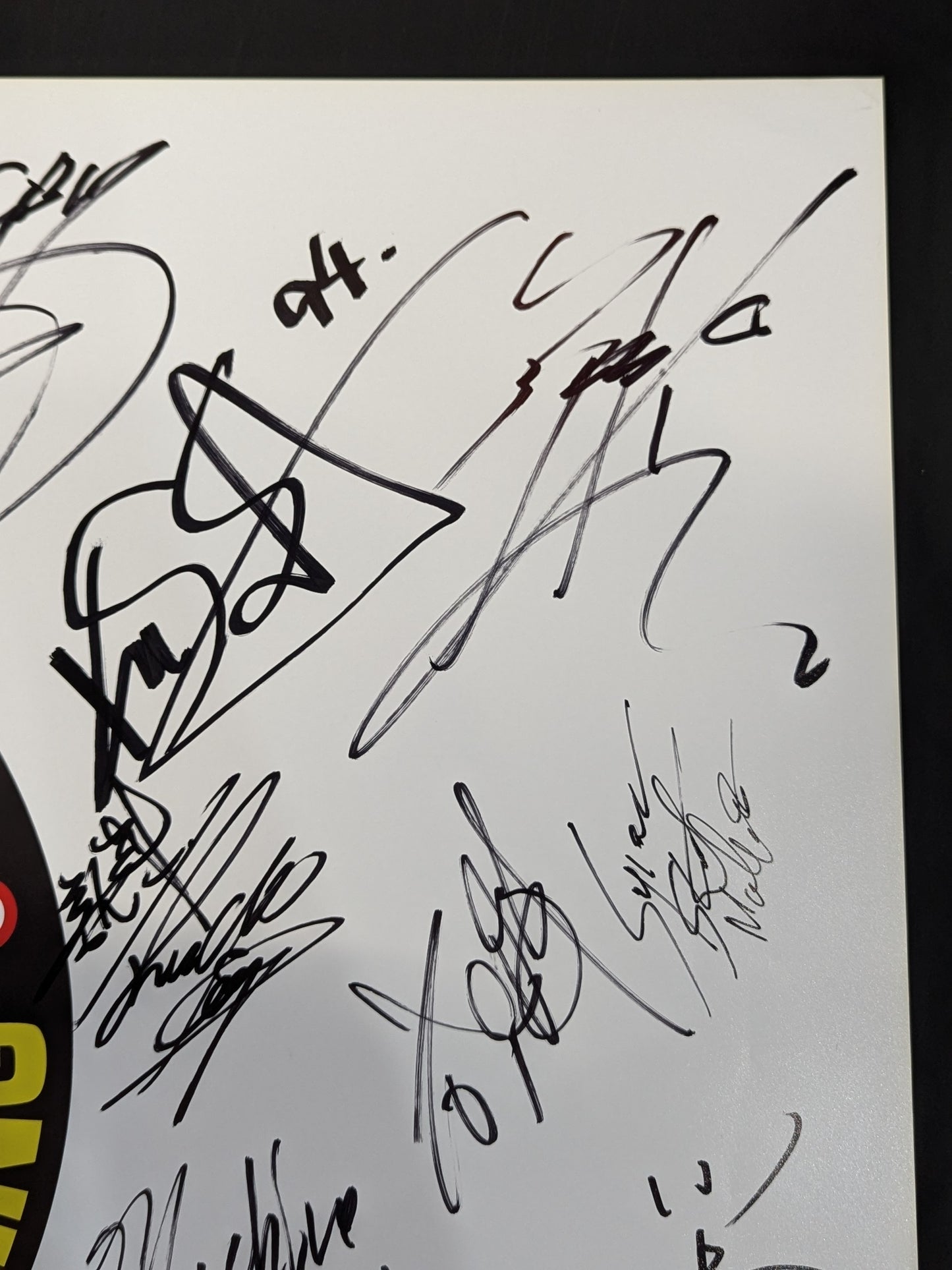 新日本プロレス 28選手直筆サイン寄せ書き(ライオンマーク特大厚紙)