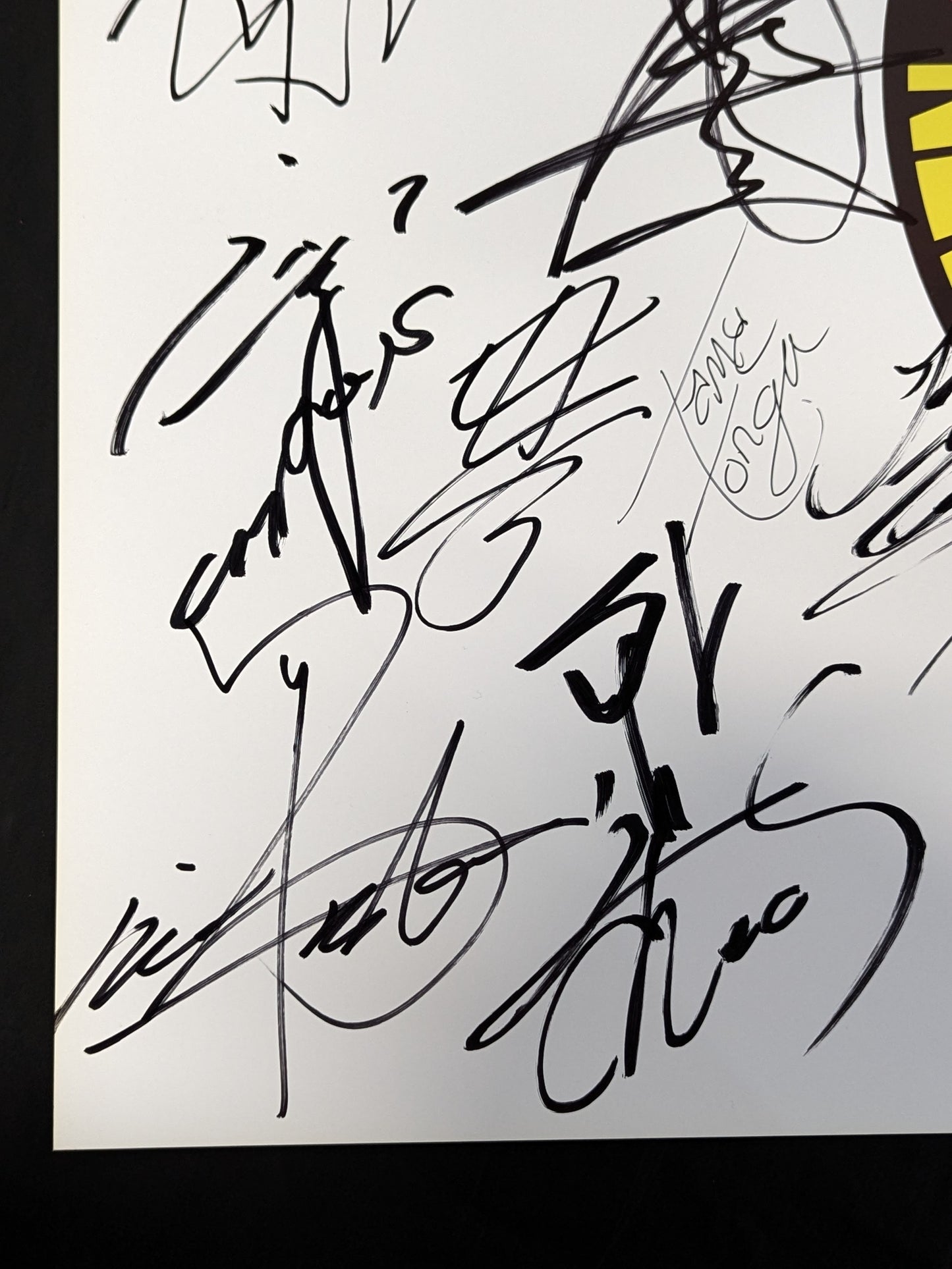 新日本プロレス 28選手直筆サイン寄せ書き(ライオンマーク特大厚紙)