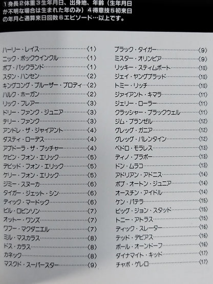WORLD WRESTLERS ’84 COLOR GUIDE