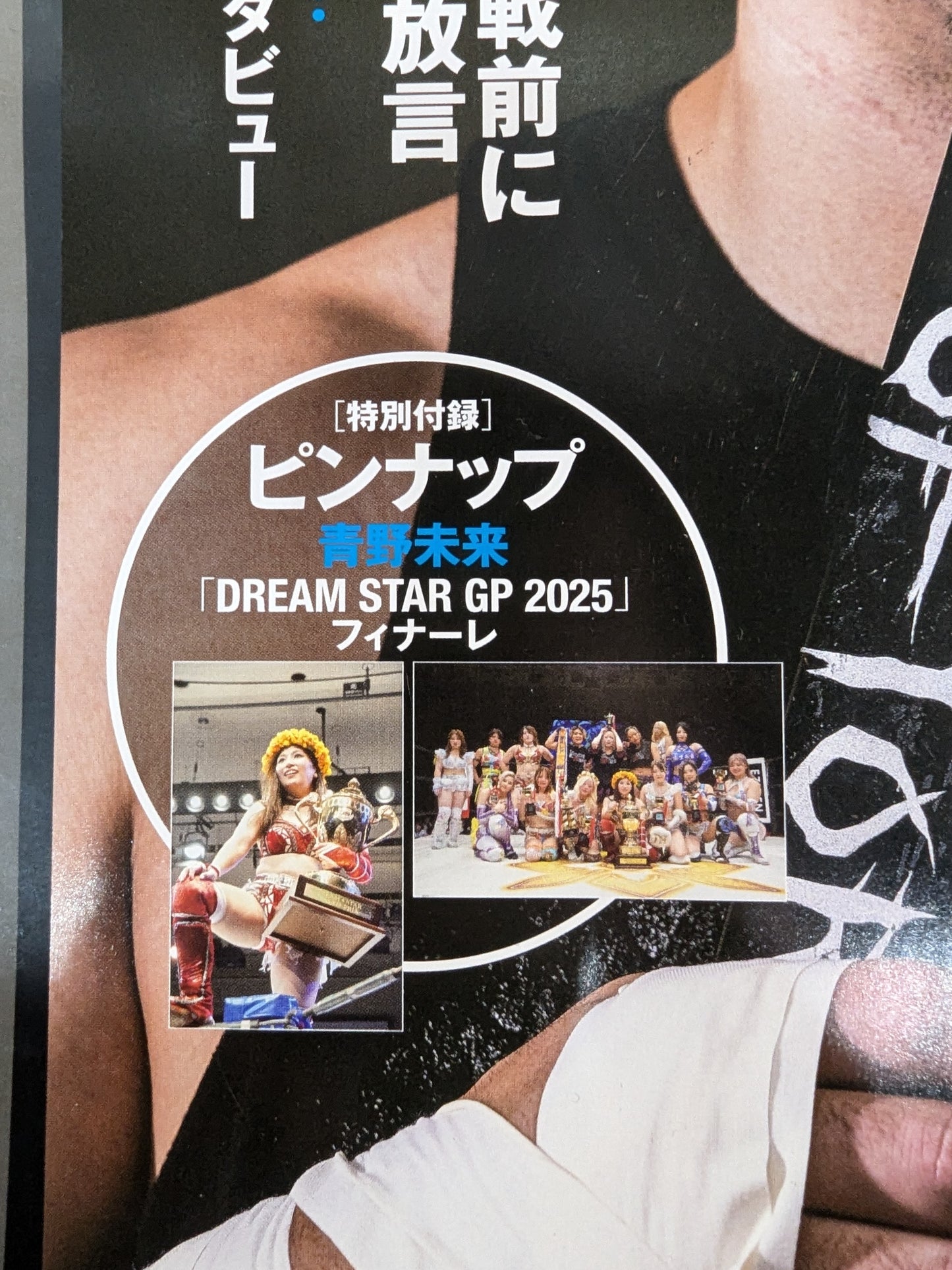 Weekly Pro Wrestling 2377