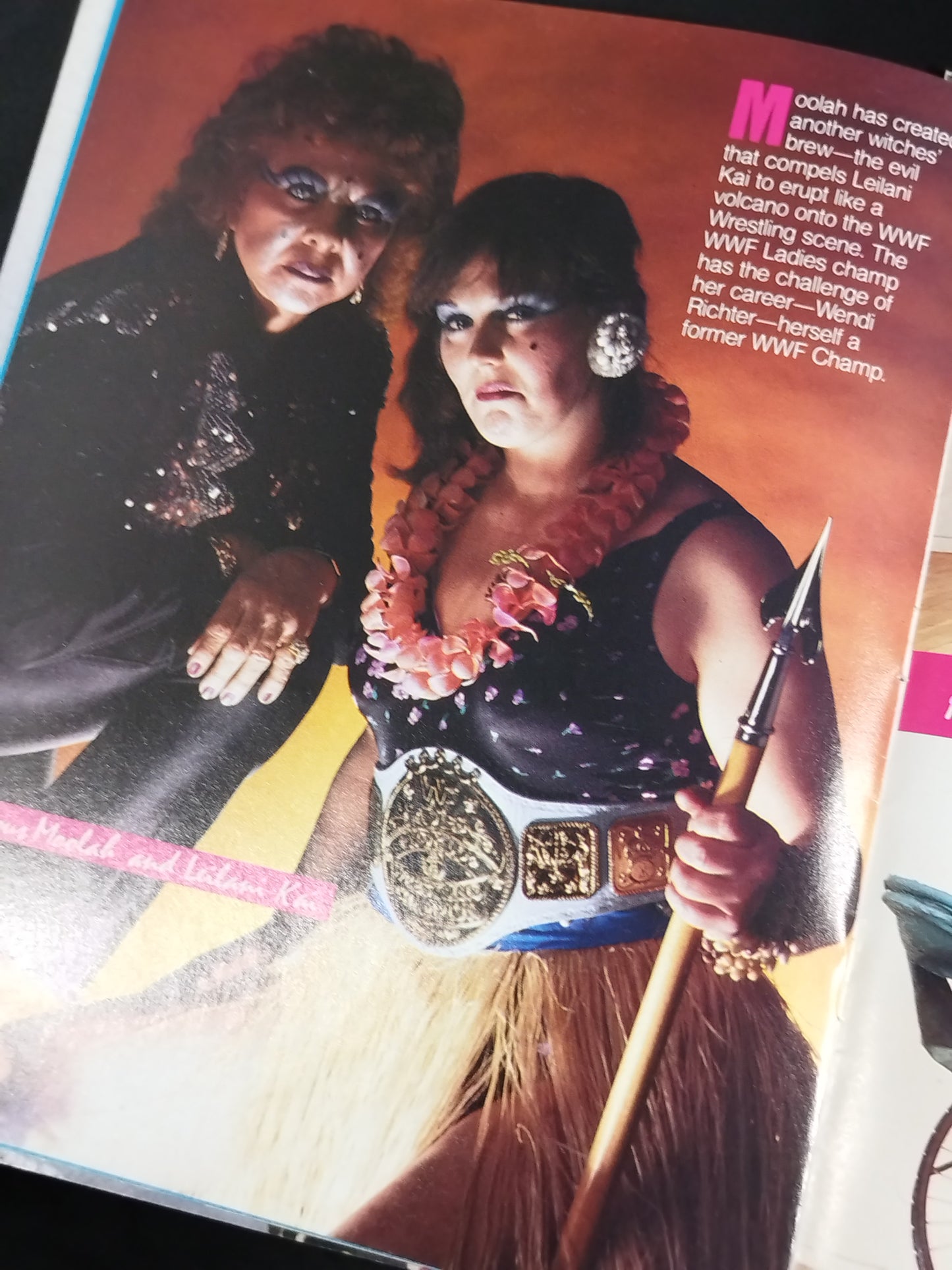 ★レッスルマニア第1回大会★ WRESTLE MANIA