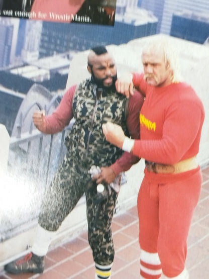 ★レッスルマニア第1回大会★ WRESTLE MANIA