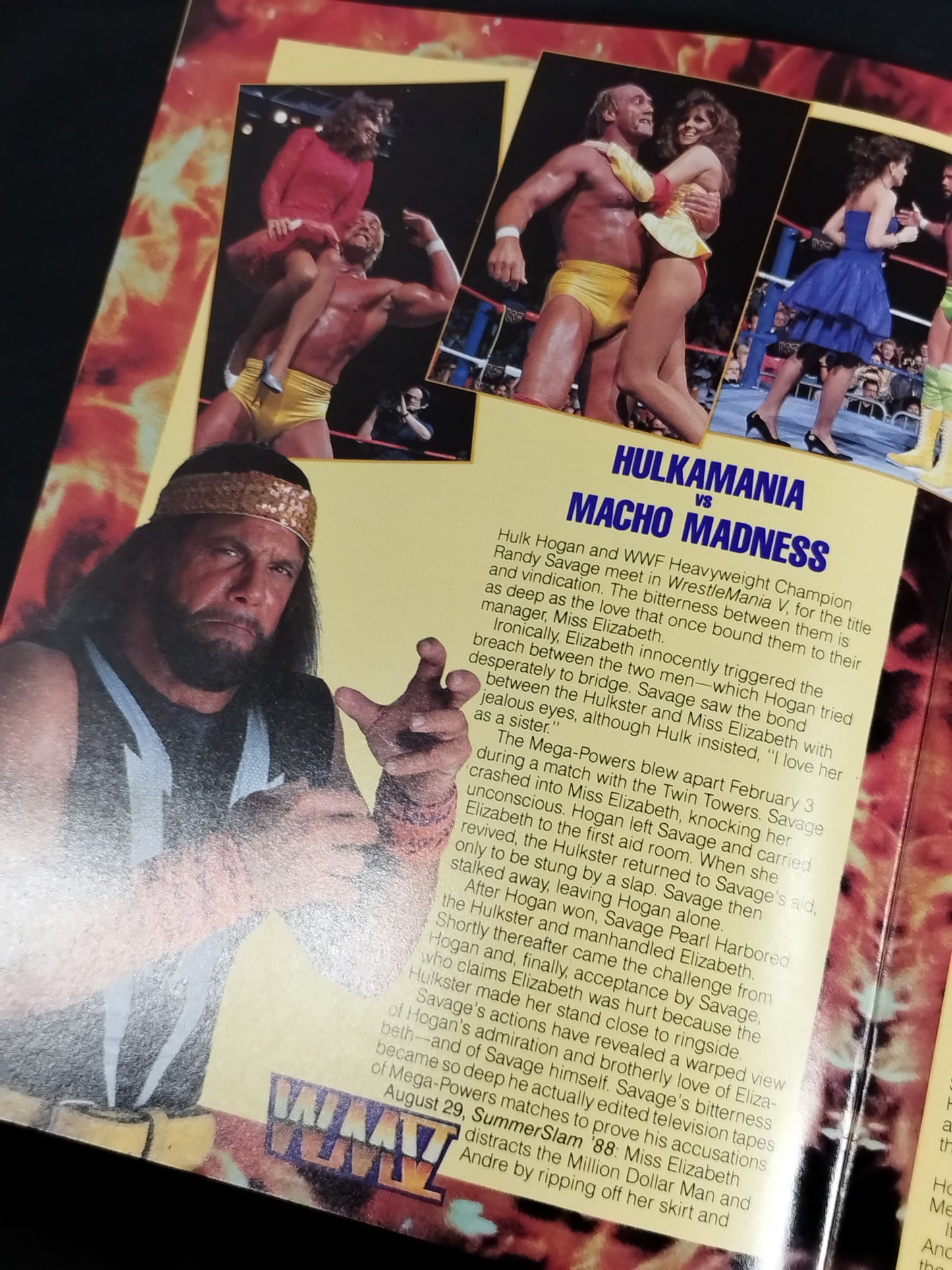 WRESTLEMANIA Ⅴ / レッスルマニア5