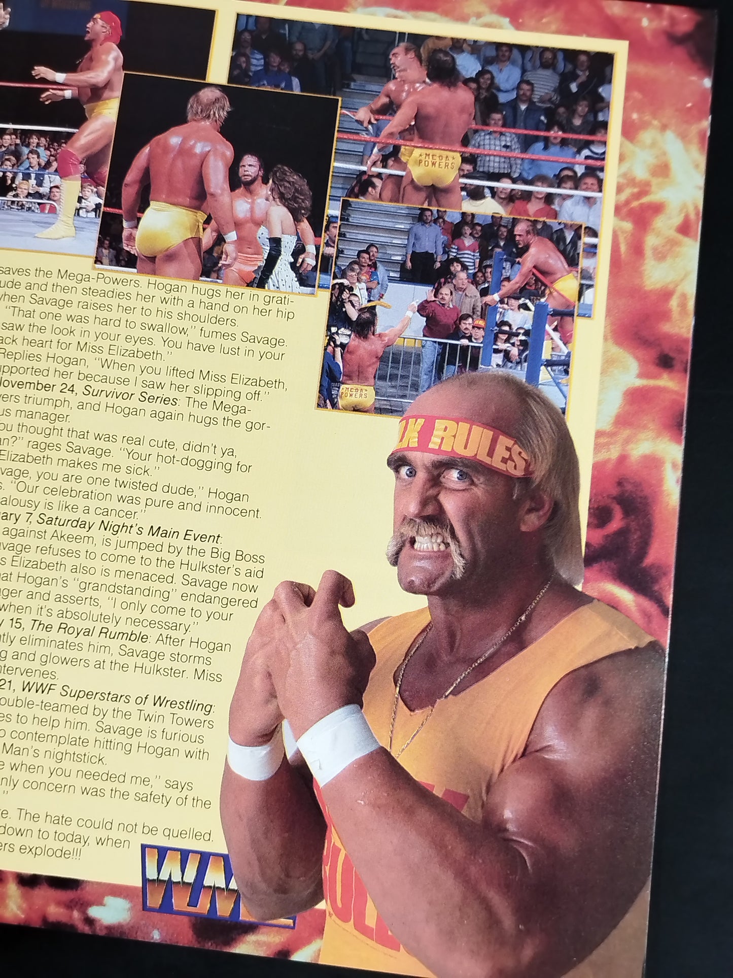 WRESTLEMANIA Ⅴ / レッスルマニア5