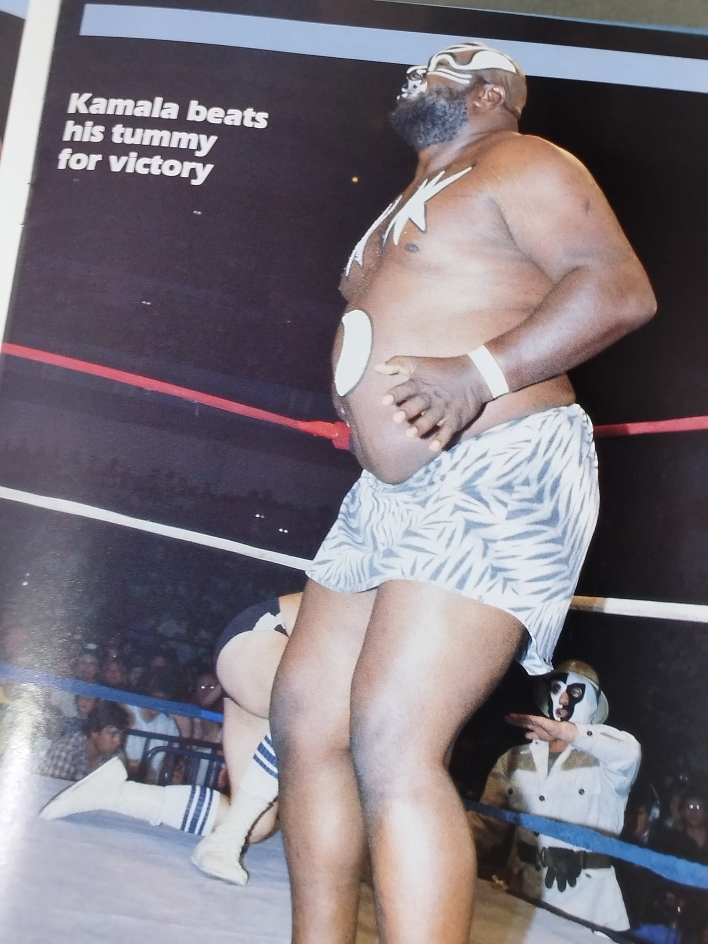 WWF OFFICIAL PROGRAM No.116