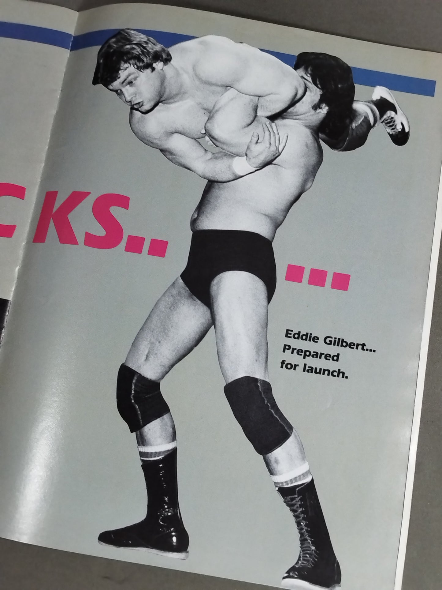WWF OFFICIAL PROGRAM No.103