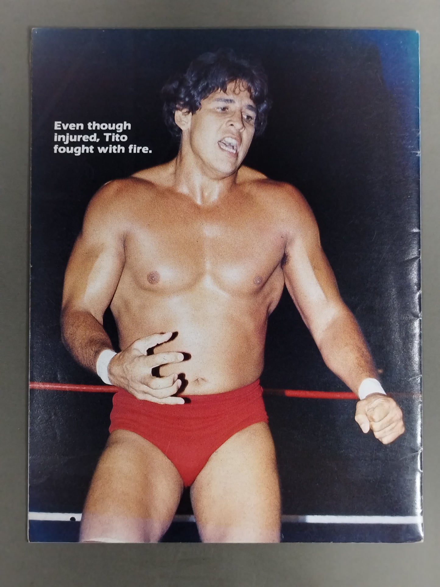 WWF OFFICIAL PROGRAM No.118