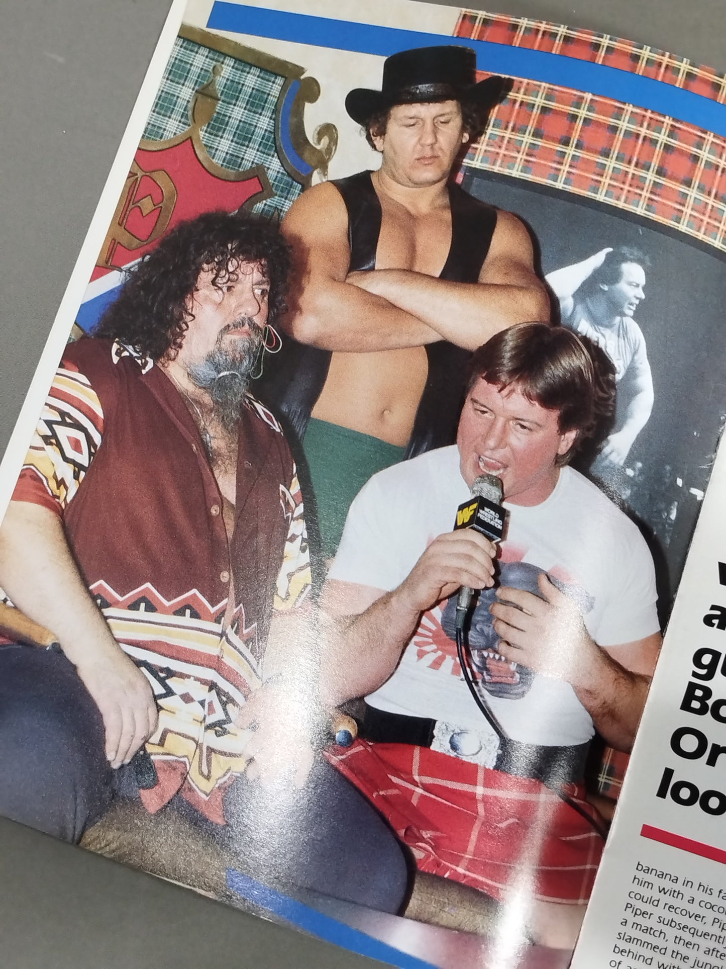 WWF OFFICIAL PROGRAM No.120