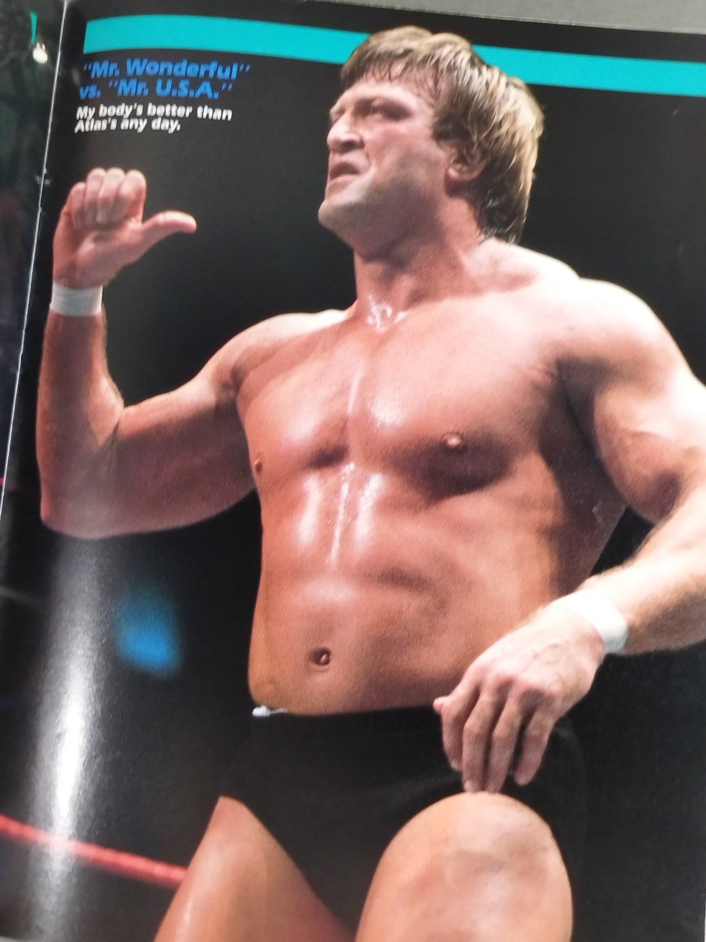 WWF OFFICIAL PROGRAM No.120
