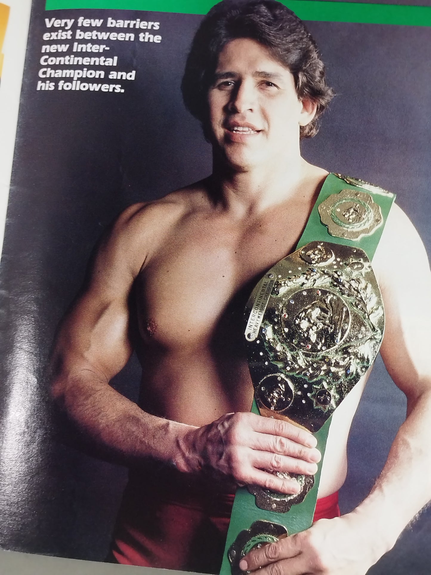 WWF OFFICIAL PROGRAM No.112