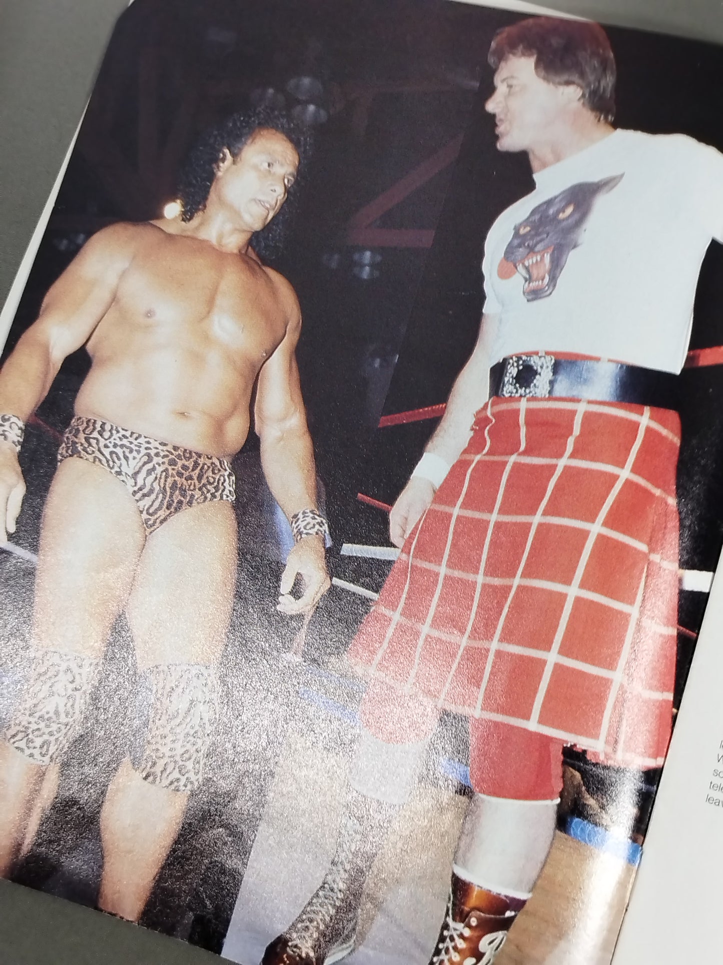WWF OFFICIAL PROGRAM No.121
