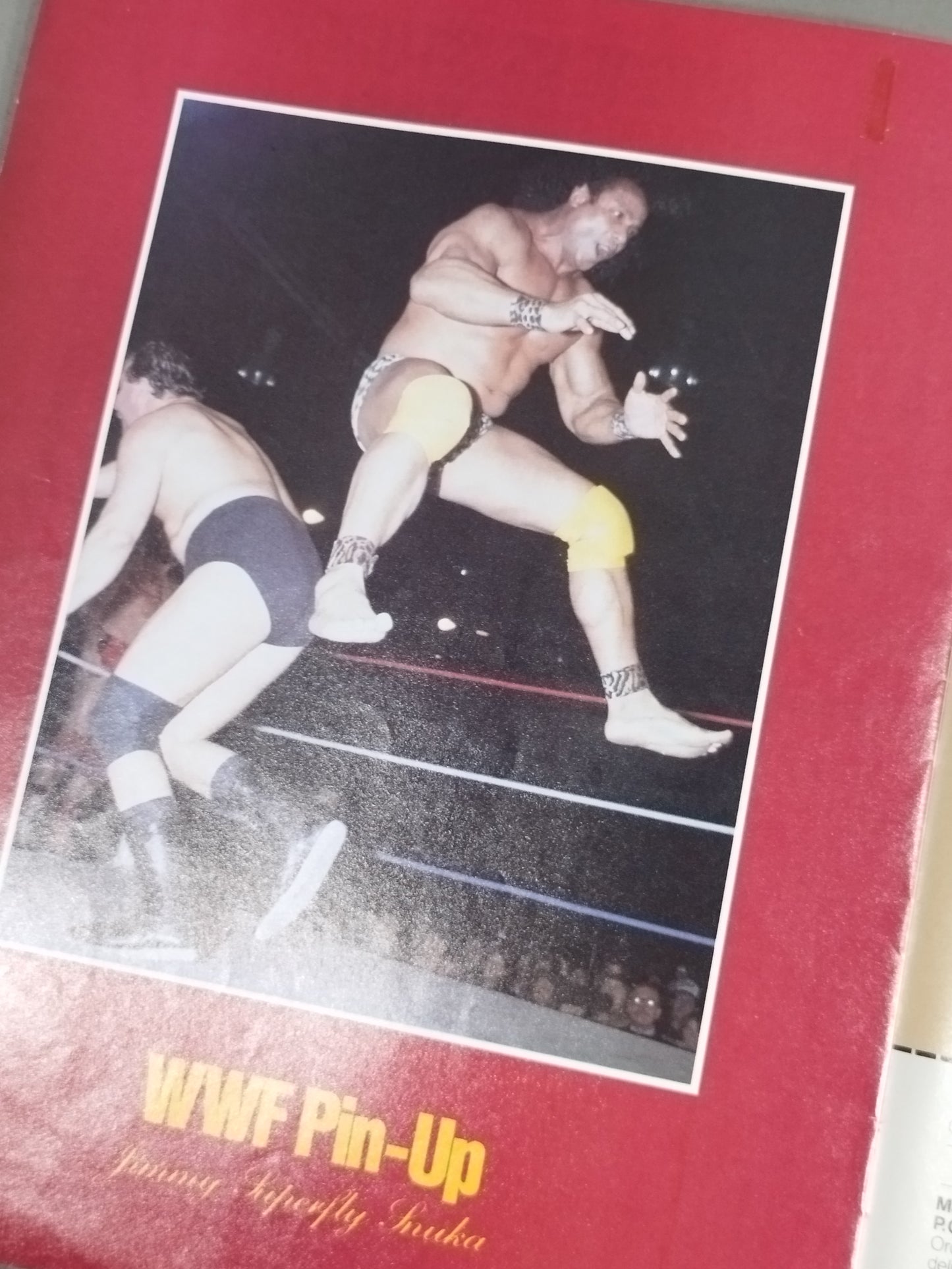WWF OFFICIAL PROGRAM No.121