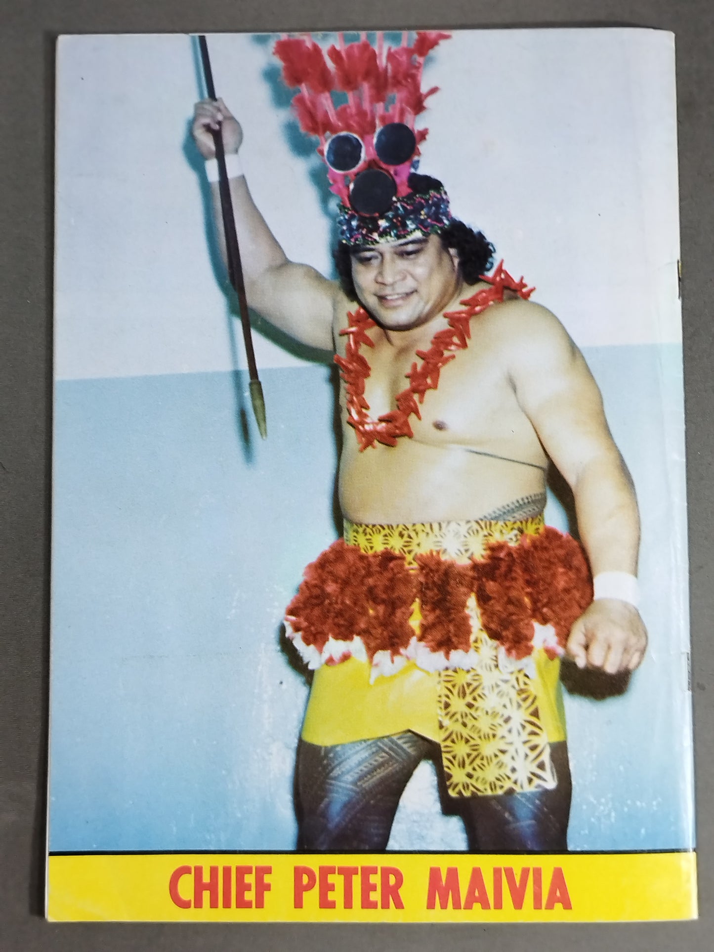 ★バックランドvsコロフ 王座戦★ W.W.W.F. CHAMPIONSHIP WRESTLING OFFICIAL PROGRAM MAGAZINE