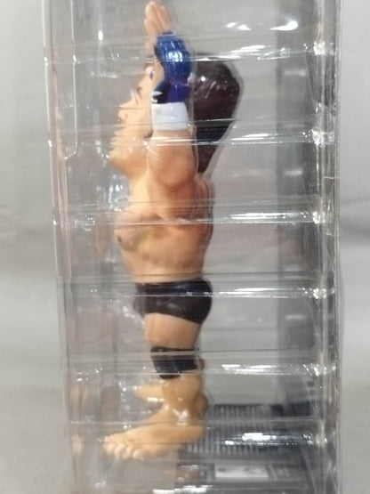 高田延彦(総合)