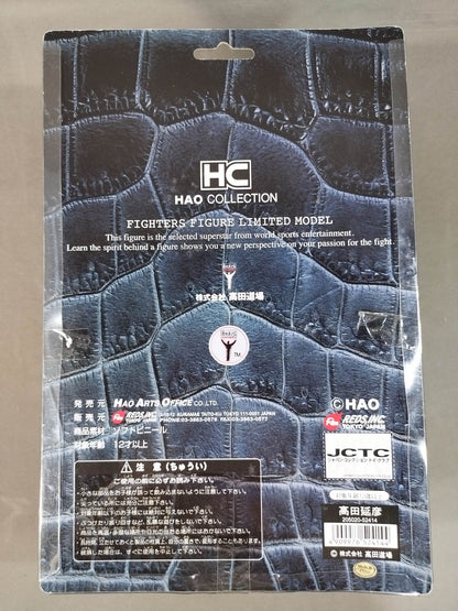 高田延彦(総合)