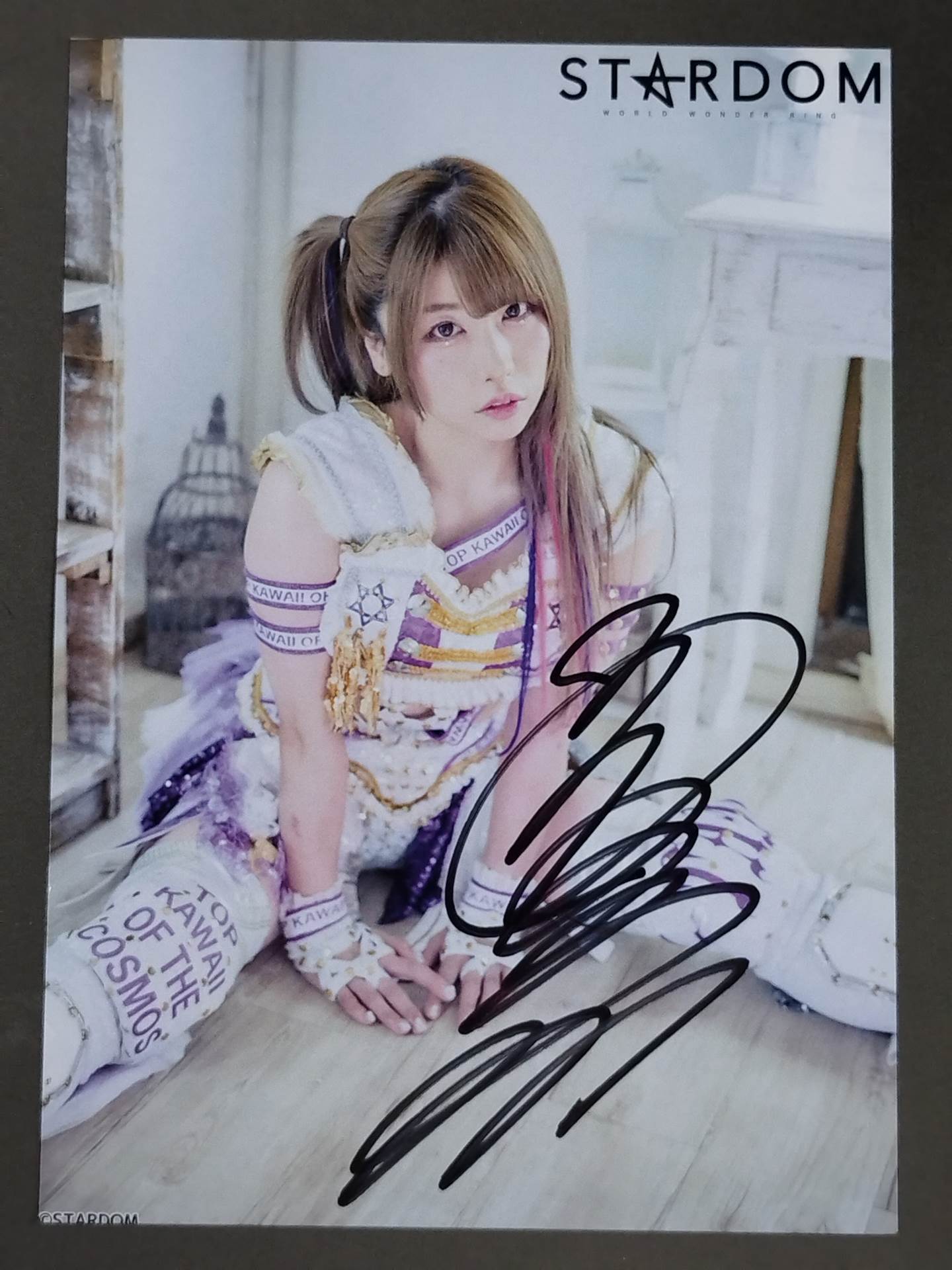 中野たむ 直筆サイン入り スターダムポートレート(B-5)