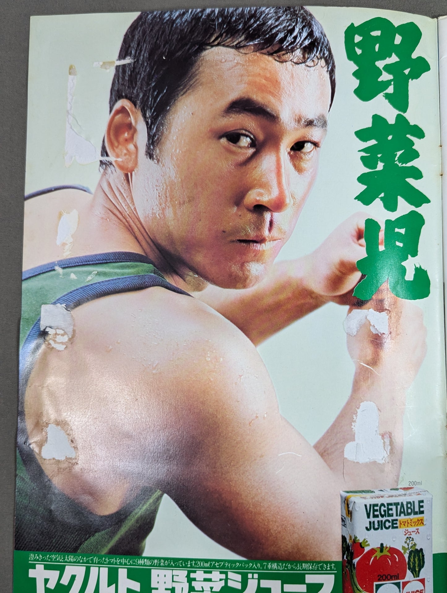 ★プロレス夢のオールスター戦★ 東京スポーツ新聞社創立20周年記念