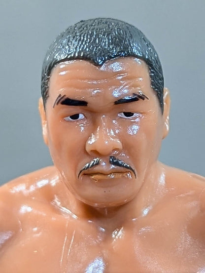 藤原喜明(リングシューズ)