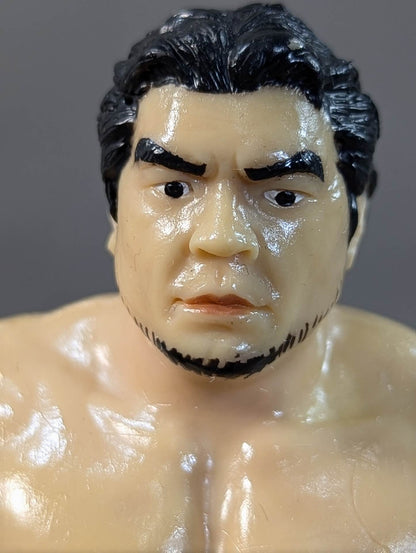 三沢光晴(ヒゲなし)
