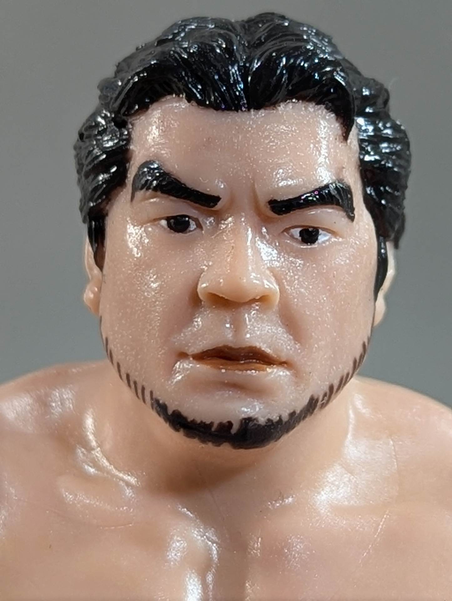Mitsuharu Misawa  (beard)