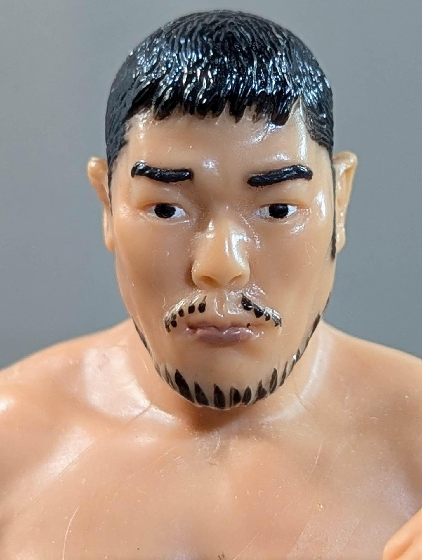 Akira Taue  (Fighting Pose)