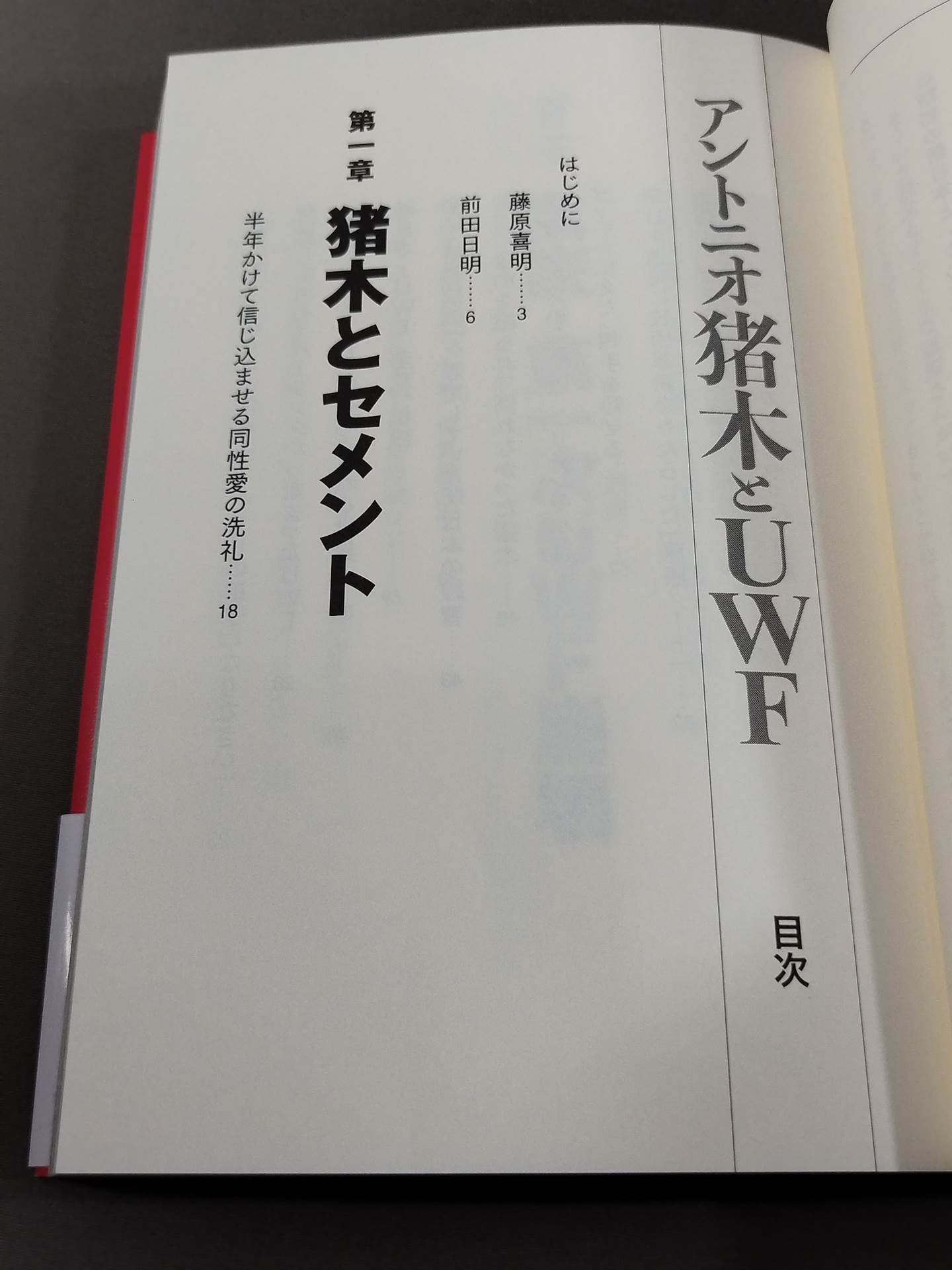 アントニオ猪木とUWF