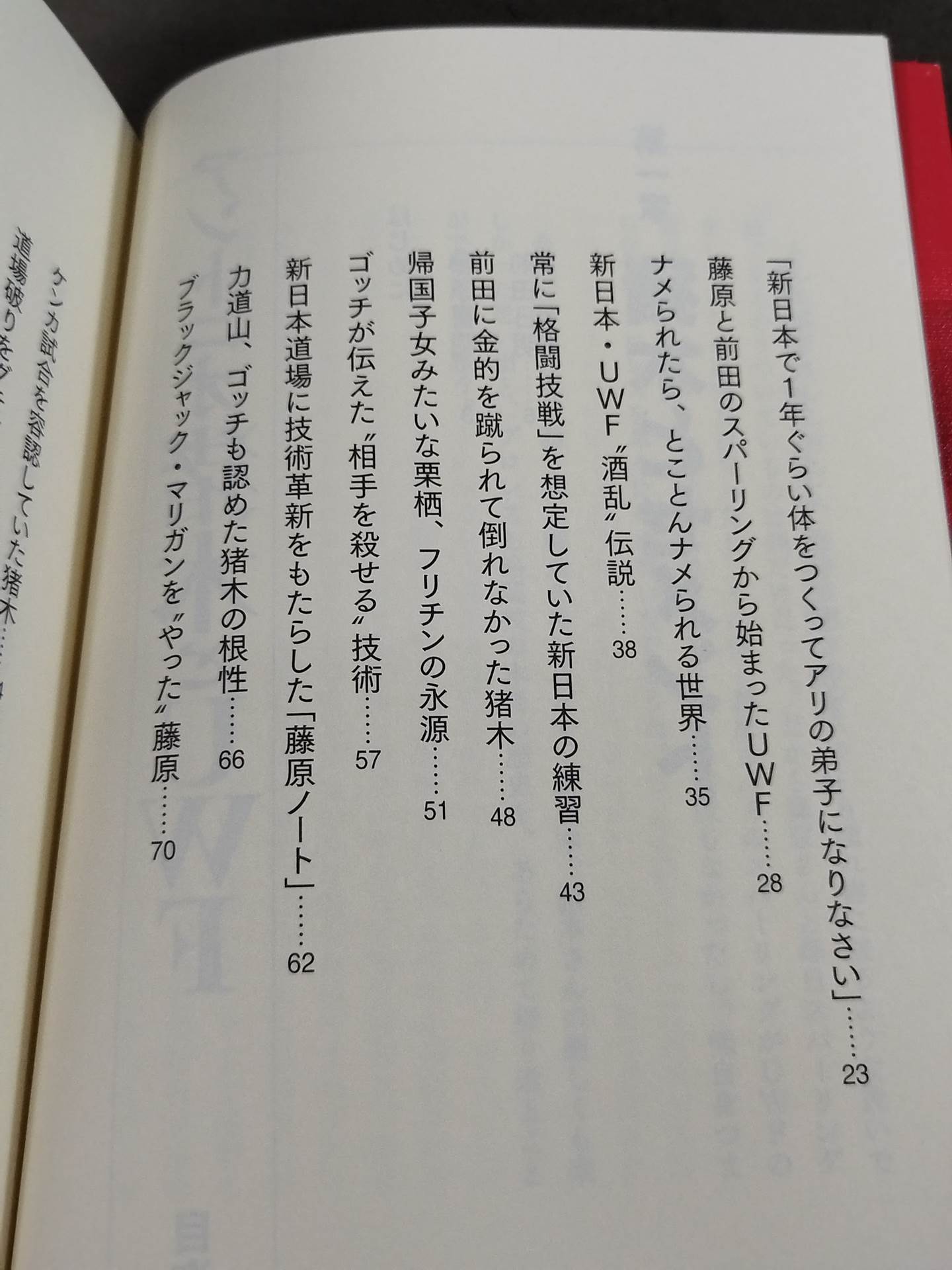 アントニオ猪木とUWF