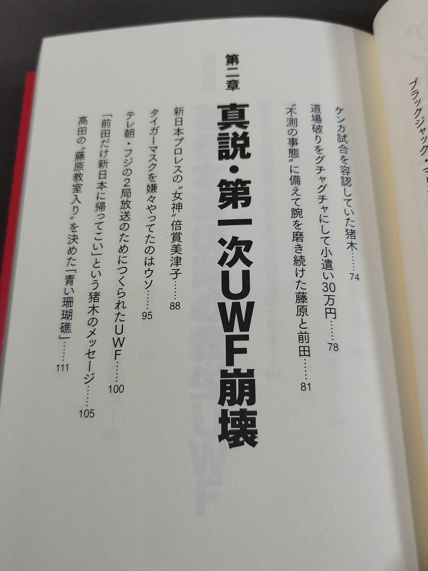 アントニオ猪木とUWF